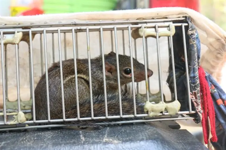 สัตว์ป่าอยู่ได้ คนอยู่ด้วย