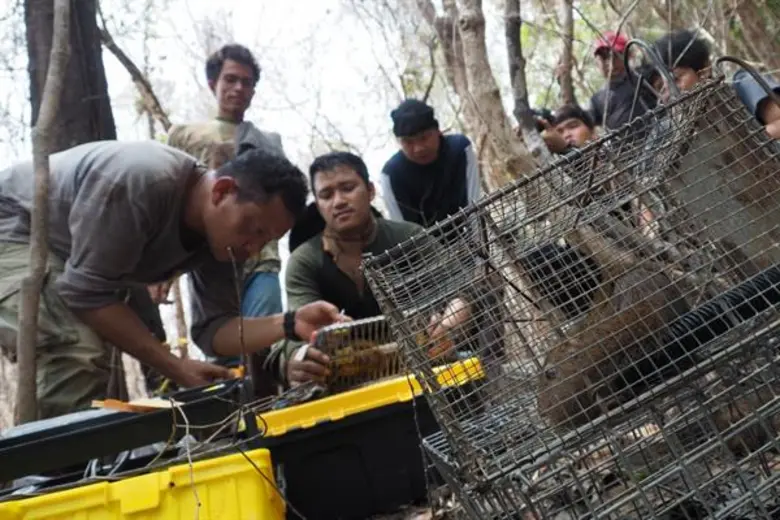 สัตว์ป่าอยู่ได้ คนอยู่ด้วย