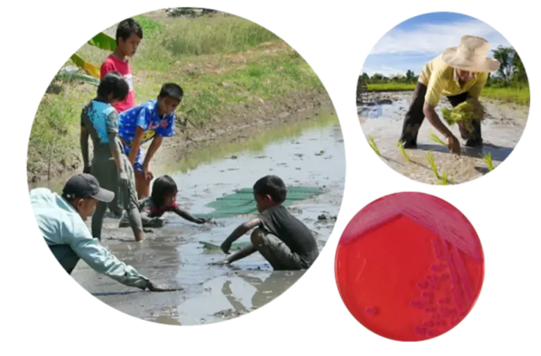 นายแพทย์ดนัย เจียรกูล ผู้อำนวยการสำนักงาน...