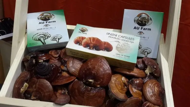 "พิถีพิถันทุกขั้นตอน พร้อมส่งมอบของขวัญที่ดีที่สุด จาก AU Farm ถึงมือผู้บริโภค"