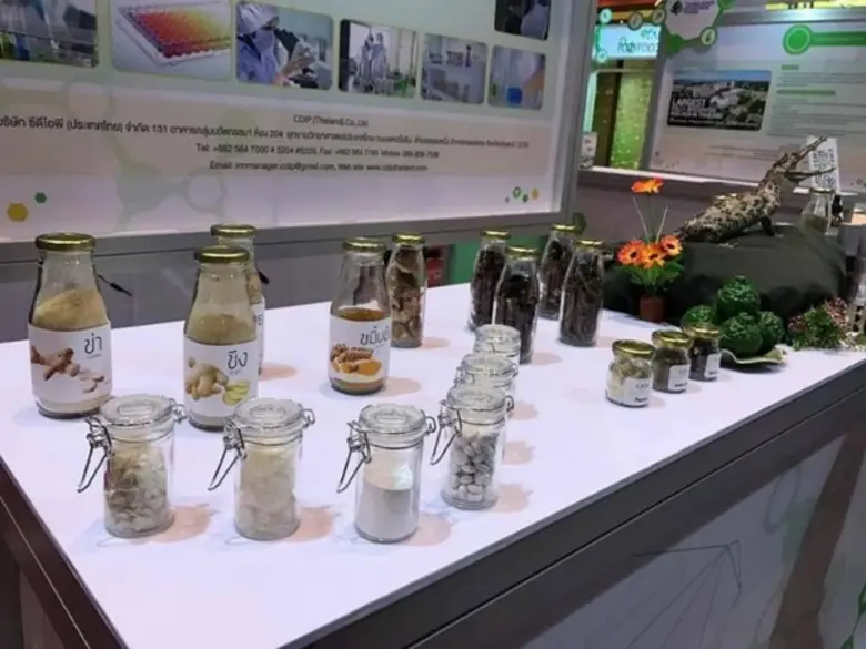 สมุนไพรกับโอกาสทอง SME ไทยก้าวไกลในธุรกิจเพื่อสุขภาพ	