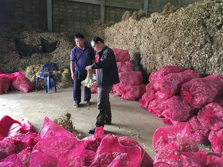 เกษตรกรจังหวัดแม่ฮ่องสอนเดือดร้อนหนัก กระ...