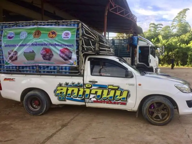กระเทียมแม่ฮ่องสอนล้นตลาด สหกรณ์การเกษตรเมืองปายเร่งระบายผลผลิตผ่านเครือข่ายสหกรณ์ภาคใต้
