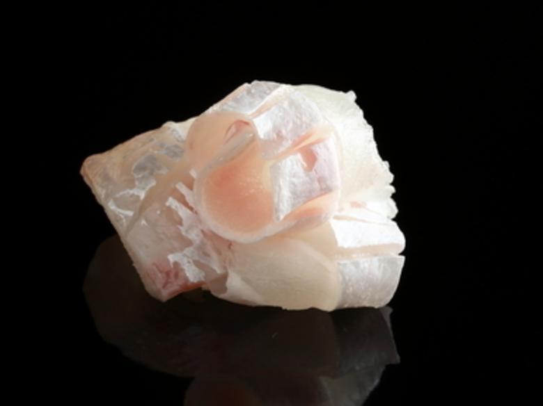 Sushi Cyu ยกระดับความพรีเมี่ยม ดึงเชฟมิชลิน 3 ดาวชื่อดังจากญี่ปุ่น เสิร์ฟซูชิโอมากาเสะสุดพิเศษครั้งแรกในกรุงเทพฯ