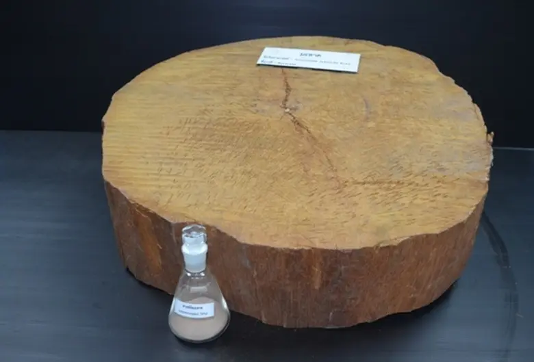 จากการทุ่มเททำงานมาตลอด ล่าสุด medhubnews...