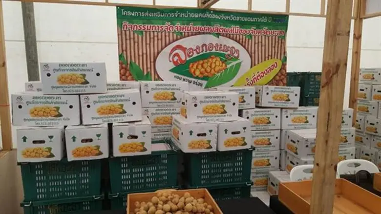 สหกรณ์จังหวัดมหาสาคามจัดงานมหกรรมสินค้าสหกรณ์ 20- 24 กันยายน นี้ ณ ศูนย์การค้าเสริมไทยคอมเพล็กซ์