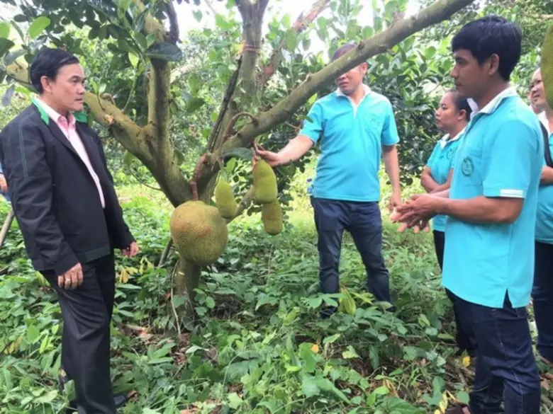 สสก. เขต 3 ภาคตะวันออกสนับสนุน เกษตรกรรายย่อย มุ่งสู่ความยั่งยืน	