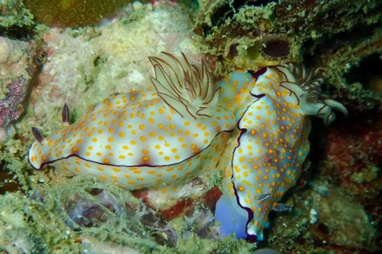 คุณน้ำตาล จุฑามาศ General Manager ผู้ร่วม...