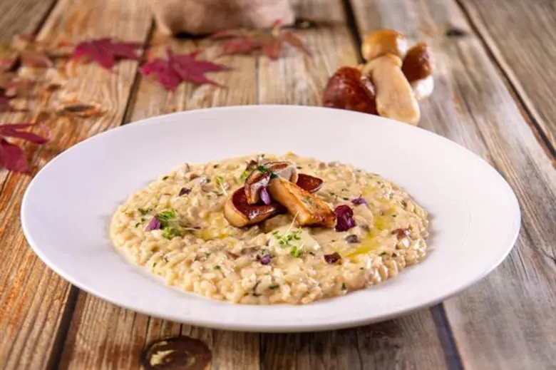 ห้องอาหาร อัพ แอนด์ อะบัฟ นำเข้าเห็ดจากป่าในทวีปยุโรปมาปรุงเป็นอาหารจานพิเศษ