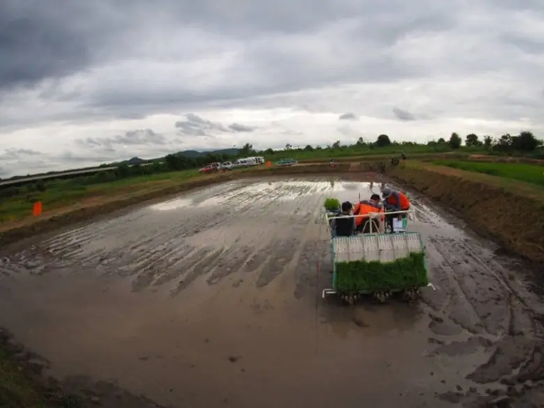 ฮั้วเฮงหลี โชว์ความสำเร็จ แปลงนาสาธิต รูปแบบ KAS