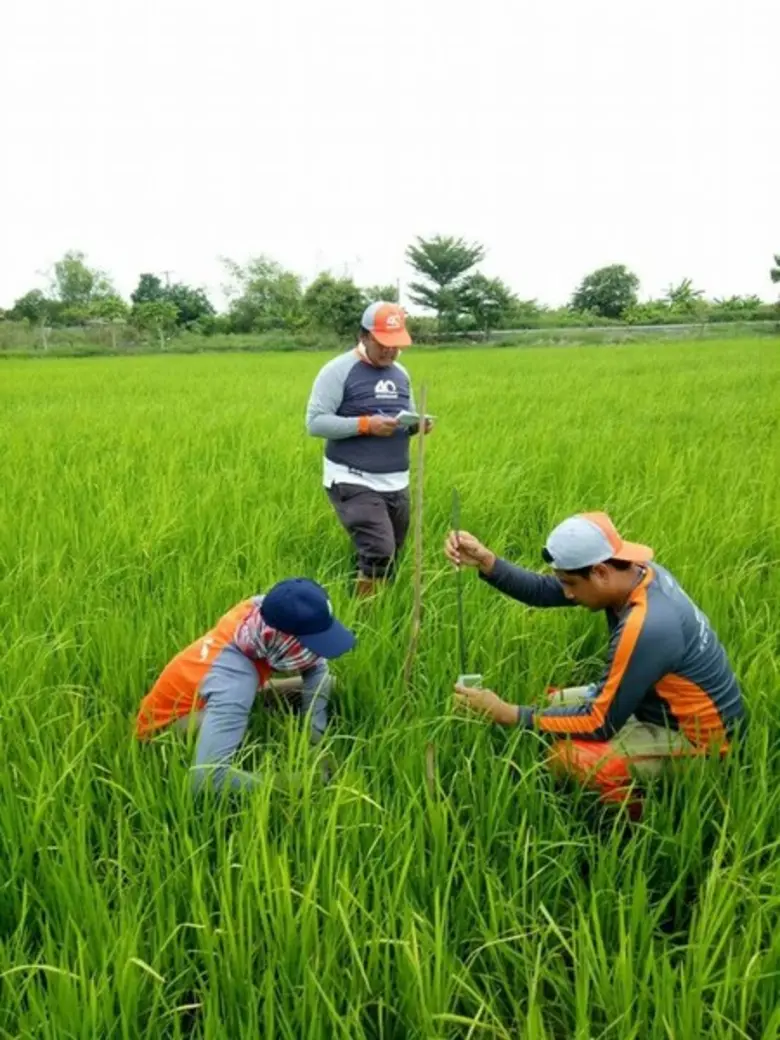 ฮั้วเฮงหลี โชว์ความสำเร็จ แปลงนาสาธิต รูปแบบ KAS