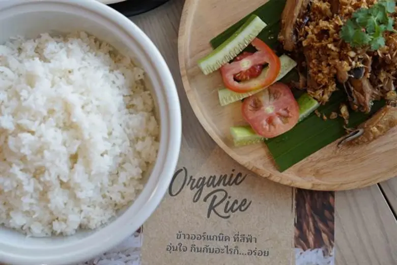 สีฟ้าต่อยอดความอร่อยที่มากกว่าด้วยข้าวหอมมะลิออร์แกนิคในทุกเมนู “ข้าว” ที่ร้านสีฟ้าทุกสาขา