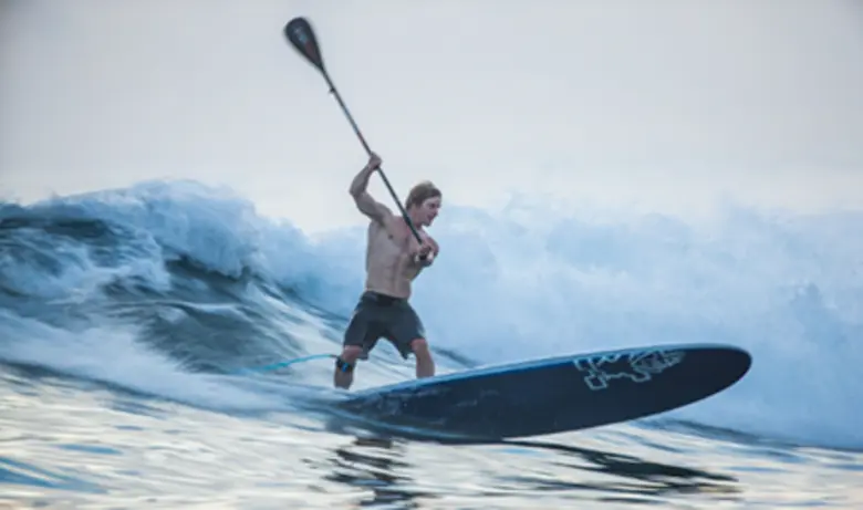 รอยัล ดีเอสเอ็ม บริษัทยักษ์ใหญ่ผู้นำทางด้...