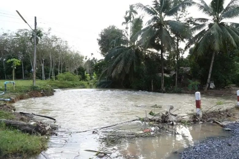 เกษตรฯ แนะตัดแต่งกิ่งไม้ยืนต้นสู้มรสุม-ลมแรง