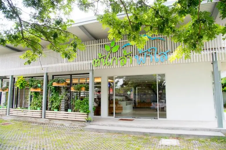 ต้นกล้า ฟ้าใส เสิร์ฟเมนูเจ...แต่ไม่จำเจ ในแบบไทยๆ สไตล์ชาววัง