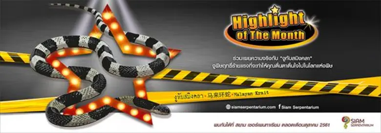 สยาม เซอร์เพนทาเรียม ศูนย์การเรียนรู้ชีวิ...