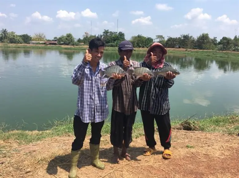 เครือข่ายสหกรณ์ผู้ผลิตสินค้าประมงและปศุสัตว์เผยปี 62 ตั้งเป้าเพิ่มยอดขาย 705 ล้านบาท ใช้กลไกประชารัฐขยายตลาดสู่ห้างโมเดินเทรดและต่างประเทศ