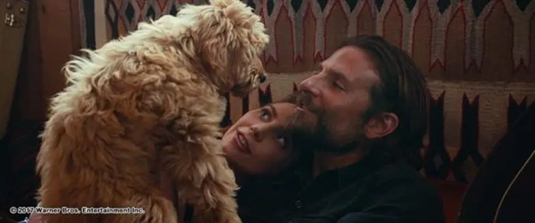 Movie Guide: อัปเดต 3 คลิปรีวิวสุดปัง ยกให้ A Star is Born คือที่สุดของปี!