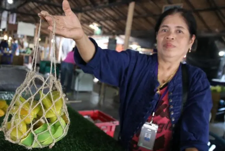 ดีเดย์ 3 พ.ย.ตลาดสุขใจ “Go Green รักษ์โลกบอกเลิกพลาสติก”