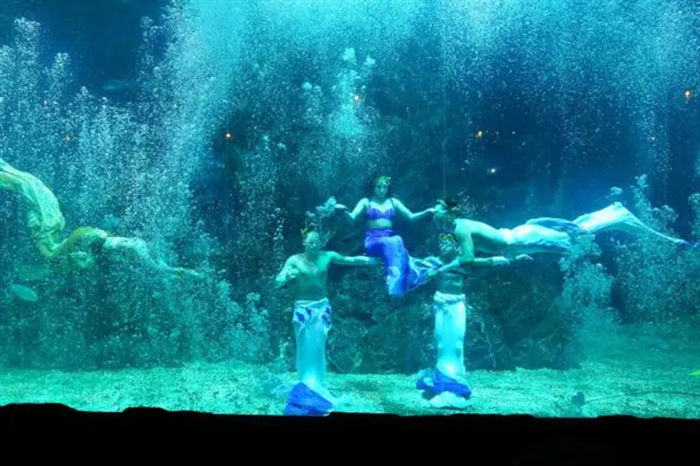 ทุกๆ ปี ซีไลฟ์ แบงคอก จะสร้างสรรค์โชว์ใต้...