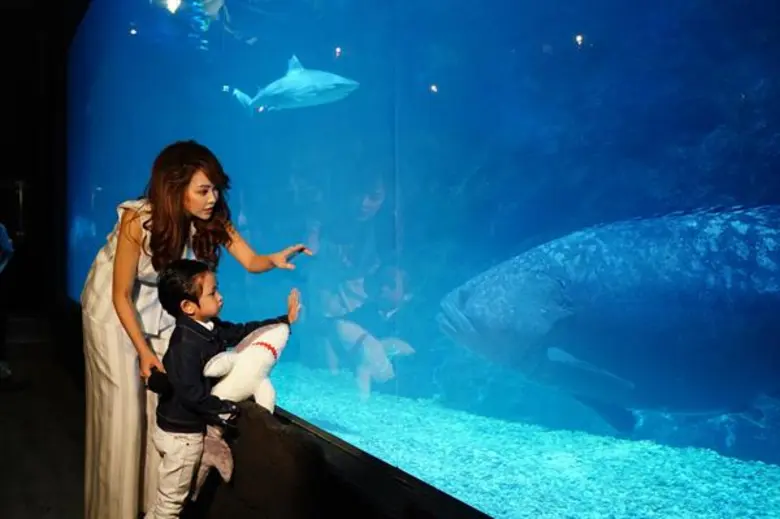 ซีไลฟ์ฯ ชวนดูโชว์ใต้น้ำชุดสุดท้ายของปี 2018! “Tales of the Sea: The Beginning” ตลอดเดือนตุลาคมนี้เท่านั้น