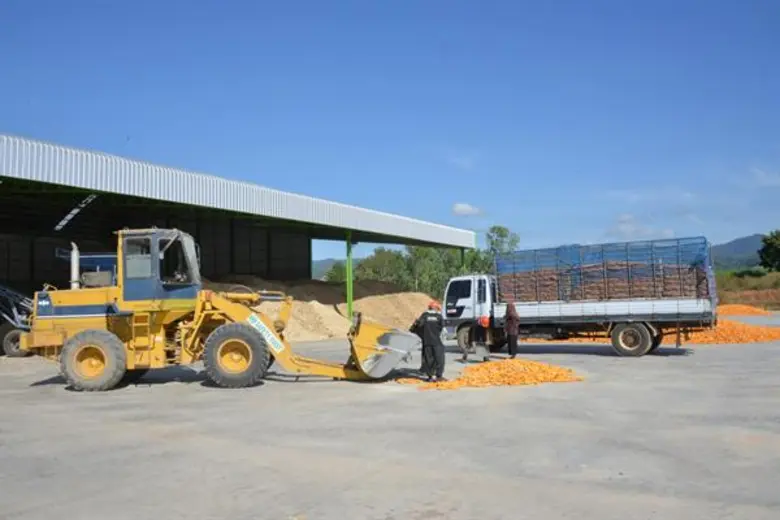 กรมส่งเสริมสหกรณ์เร่งสำรวจเกษตรกรเข้าร่วมโครงการส่งเสริมการปลูกข้าวโพดหลังนา สั่งการสหกรณ์จังหวัดลงพื้นที่ชี้แจงมาตรกรจูงใจเกษตรกรสมัครเข้าร่วมให้ได้ตามเป้า ภายใน 15 ตุลาคม นี้