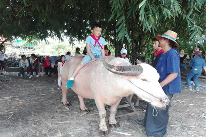 ฮอนด้าจัดเวิร์คช็อป “คิด(ส์) กระหึ่มนา จินตนาการวิถีไทย” นำเยาวชนเข้าค่ายเตรียมพร้อมก่อนการแข่งขันรอบสุดท้าย ในโครงการ “ฮอนด้า ซูเปอร์ ไอเดีย คอนเทสต์ 2018”