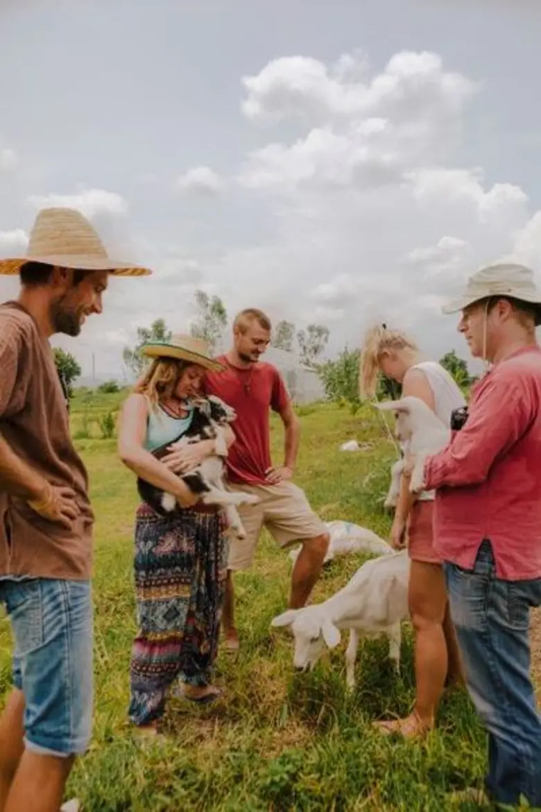 เที่ยวแบบสโลว์ไลฟ์ในช่วงเทศกาลกินเจไปกับ Airbnb