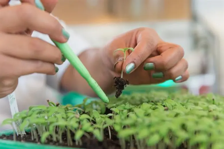 วันอาหารโลก ซินเจนทา ขอบคุณ เกษตรกรไทย วีรบุรุษตัวจริง ผู้สร้างความมั่นคงทางอาหาร