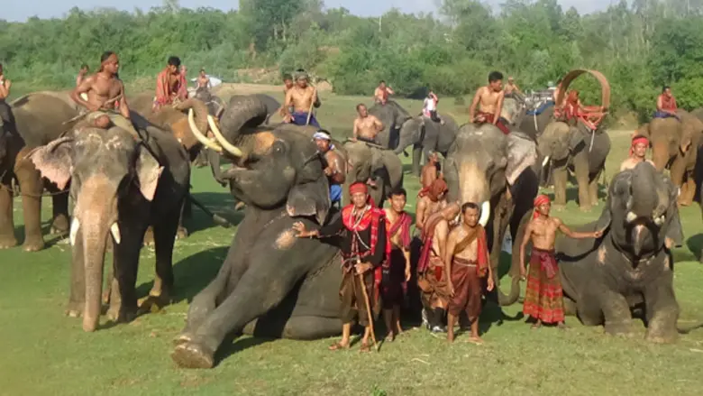 ททท. สำนักงานสุรินทร์ ร่วมกับ YEC สุรินทร์ – แซตอม ออแกนิกฟาร์ม พร้อม คชอาณาจักร - ชุมชนพื้นถิ่น ชวนร่วมโครงการ “สานต่อที่พ่อทำ”