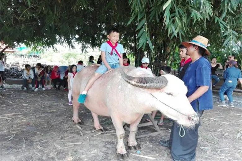 ฮอนด้าจัดเวิร์คช็อป “คิด(ส์) กระหึ่มนา จินตนาการวิถีไทย” นำ 30 นักคิดรุ่นจิ๋ว เรียนรู้กับธรรมชาติและสัมผัสวิถีชีวิตไทยพื้นบ้าน ก่อนแข่งขันรอบสุดท้ายในโครงการ “ฮอนด้า ซูเปอร์ ไอเดีย คอนเทสต์ 2018”