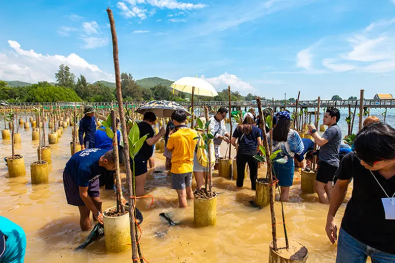 ไฟล์ท ออฟ เดอะ กิบบอน สนับสนุนโครงการปลูกป่าโกงกางด้วยวิธีพิเศษ เป็นอัตลักษณ์ตัวอักษร "ทรงพระเจริญ"	