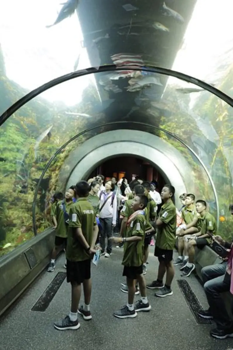 โฆษกคณะกรรมการสื่อสร้างสรรค์ ชี้แจงยังไม่มีการพิจารณาให้สิทธิสร้างหนังเหตุการณ์ 13 ชีวิตทีมหมูป่าแก่ผู้ผลิตภาพยนตร์รายใด