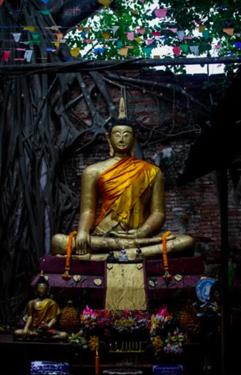 "เขื่อนบางโฉมศรี" ตั้งอยู่ในเขตบ้านบางโฉม...