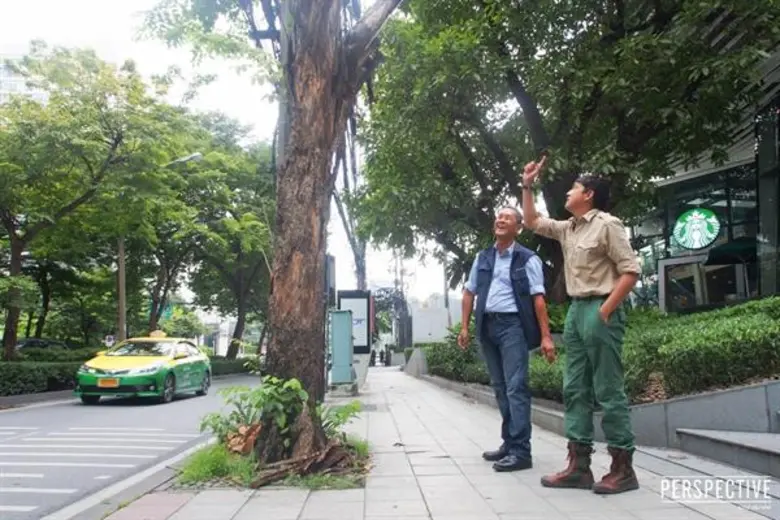 ทีวีไกด์: รายการ "เปอร์สเปกทิฟ" “เปอร์-สเปกทีฟ” พาชื่นชมพื้นที่สีเขียว พร้อมสัมผัสหัวใจ “ครูต้อ” หมอต้นไม้ ในเมือง!!