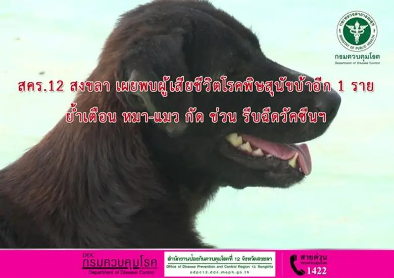 สคร.12 สงขลา เผย พบผู้เสียชีวิตโรคพิษสุนัขบ้าอีก 1 ราย ย้ำเตือน หมา-แมว กัด ข่วน รีบฉีดวัคซีนฯ