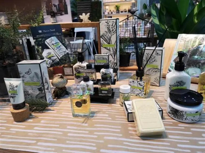 กรมส่งเสริมการค้าระหว่างประเทศ (DITP) กระ...