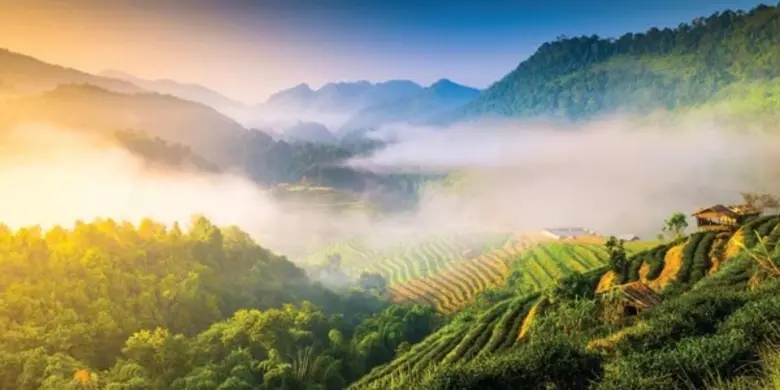 โรงแรมดุสิตดีทู และโรงแรมดุสิตปริ๊นเซส เช...