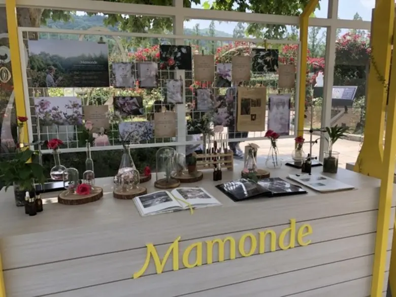 เตรียมสัมผัสปรากฏการณ์ความงามจากแบรนด์ผลิตภัณฑ์บำรุงผิวชื่อดังในงาน มามอนด์ 'การ์เด้น อิน เดอะ ซิตี้’ Mamonde 'Garden in the City’ พร้อมกระทบไหล่นักแสดงสาวเกาหลีชื่อดัง 'พัค ชิน ฮเย’ (Park Shin Hye)