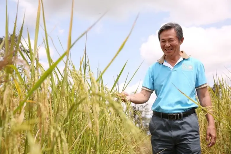 "โครงการหงษ์ทองนาหยอด" จากรอยยิ้มชาวนาสู่ความสุขผู้บริโภค โครงการดีๆ ที่จะเติบโตไปพร้อมกับชาวนาไทยอย่างยั่งยืน