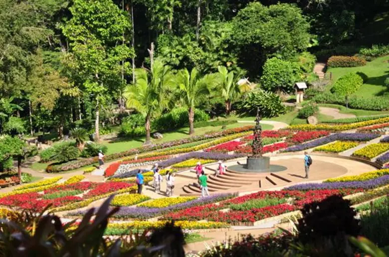 สีสันแห่ง “ดอยตุง” 7 จุดเช็กอินที่ฟินไปกับสายหมอกและขุนเขา