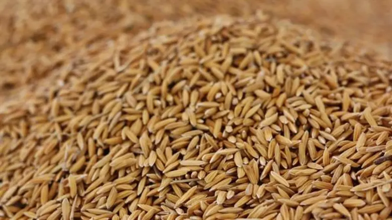 สหกรณ์การเกษตรเมืองลับแลสนองนโยบายรัฐ ร่วมโครงการนา...