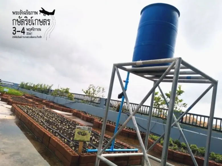 พิพิธภัณฑ์การเกษตรฯ จัดงาน “พระอัจฉริยภาพกษัตริย์เกษตร” สืบสานพระราชปณิธาน ร.9