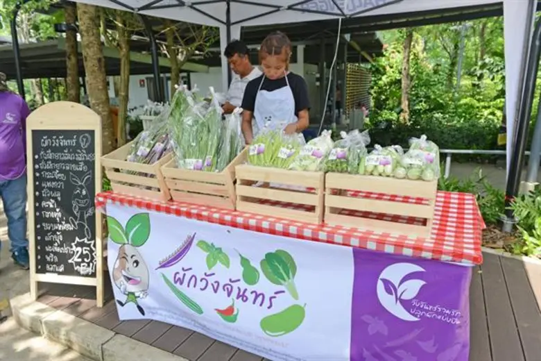 ทีวีไกด์: รายการ "เจาะใจ" “ดู๋ สัญญา” ลุยพื้นที่สีเขียว พบแหล่งเรียนรู้ที่มากกว่าป่า!!