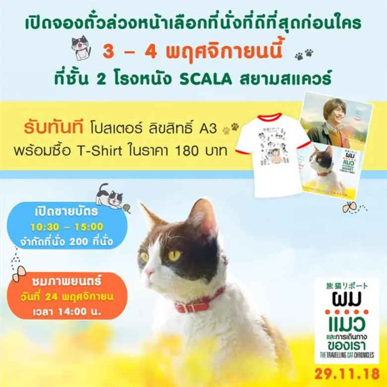 ต้อนรับกระแสแมวฟีเวอร์ มงคลซีนีม่าร่วมกับ...