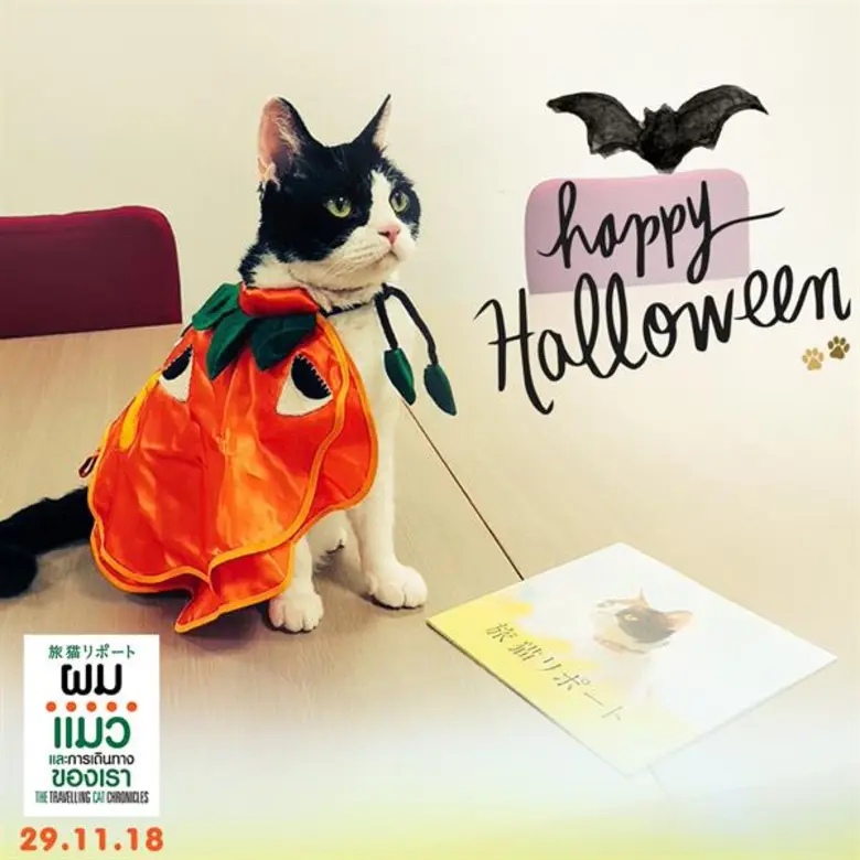 กระแสยังคงแรงไม่หยุดในญี่ปุ่นสำหรับภาพยนต...