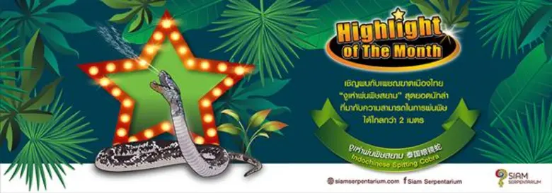 สยาม เซอร์เพนทาเรียม ศูนย์การเรียนรู้ชีวิ...