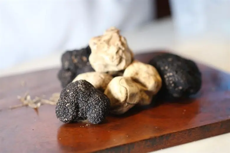 ตลอดเดือนพฤศจิกายนนี้ ห้องอาหารแอทติโก้ ช...