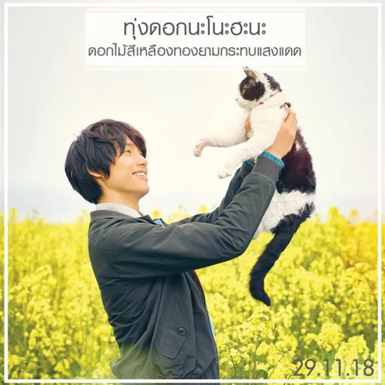 Movie Guide: เปิด 3 โลเคชั่นสุดอบอุ่น สถานที่ถ่ายทำ The Travelling Cat Chronicles ผมแมวและการเดินทางของเรา เผยภาพภูเขาไฟฟูจิในมุมที่สวยที่สุด