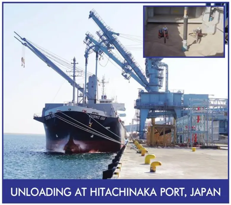 เชื้อเพลิงชีวมวลอัดเม็ด (FSC Wood Pellet) ล็อตแรกของไทยส่งออกไปยังญี่ปุ่น ผลิตโดยสยามไบโอแมสโปรดัก ภายใต้ความร่วมมือของมิตซุย เพื่อใช้ใน JERA โรงไฟฟ้าที่ใหญ่ที่สุดในญี่ปุ่น ซึ่งได้มีการขนถ่ายลง ณ โรงไฟฟ้า JERA เรียบร้อยแล้ว เมื่อ 28 ตุลาคม 2561